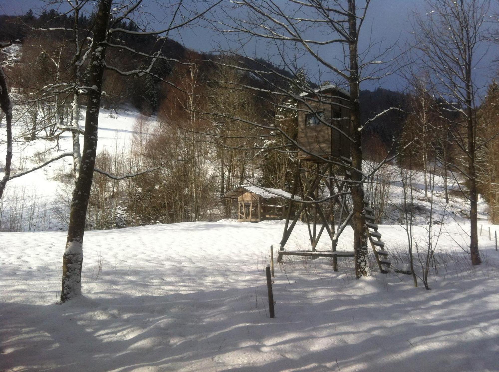 Ferienwohnung Haus Edeltraud Im Suedschwarzwald, Grosse, Helle, Ruhige Souterrain-Whg, Hunde Geeignet, Mit 2 Fahrraedern, 3 Baeckereien Mit Fruehstueck, 2 Lebensmittel-, 1 Italien-Pastalaeden, Kontakt Peter Heubueschl Aus Loerrach ラインフェルデン エクステリア 写真