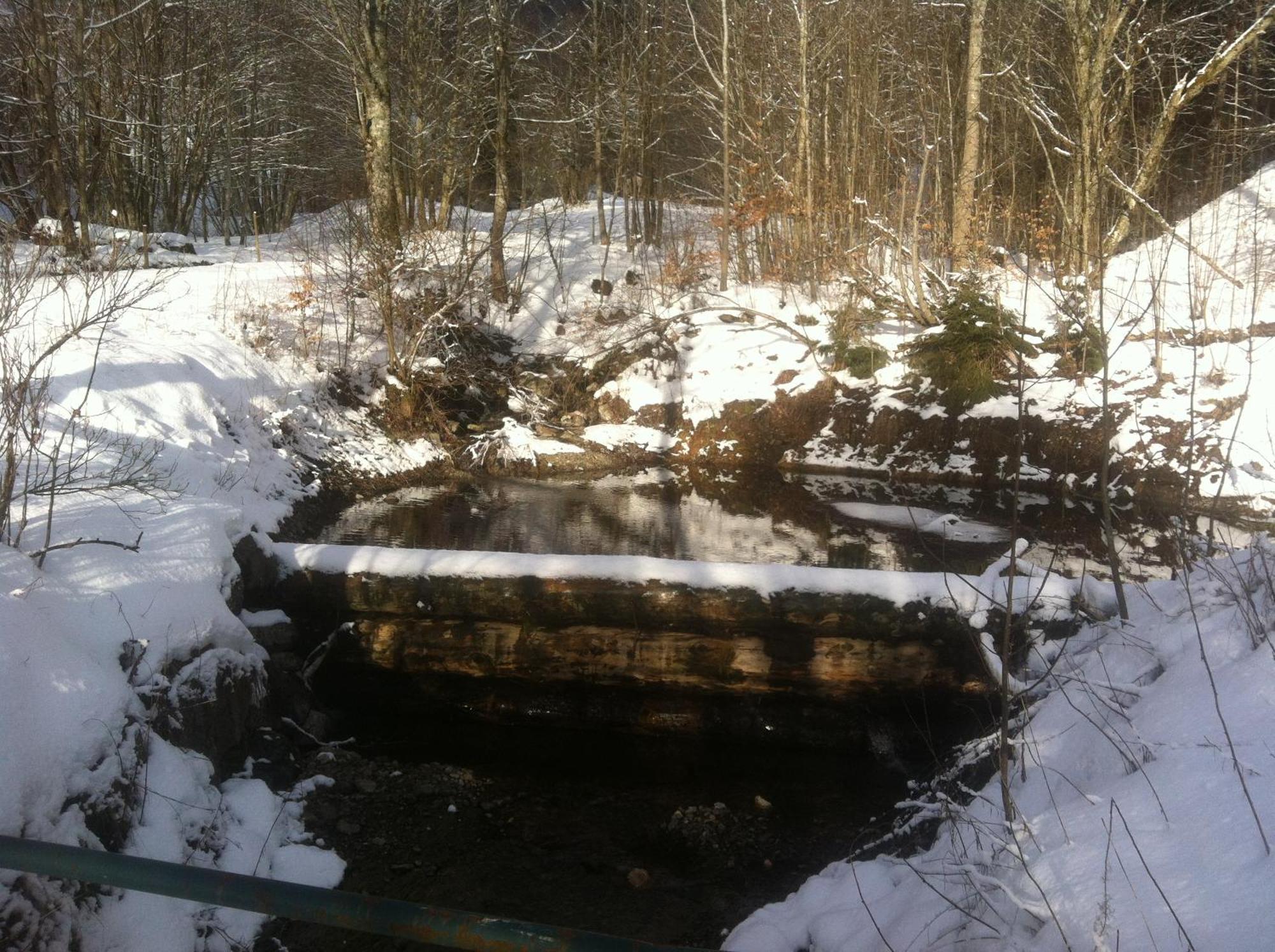 Ferienwohnung Haus Edeltraud Im Suedschwarzwald, Grosse, Helle, Ruhige Souterrain-Whg, Hunde Geeignet, Mit 2 Fahrraedern, 3 Baeckereien Mit Fruehstueck, 2 Lebensmittel-, 1 Italien-Pastalaeden, Kontakt Peter Heubueschl Aus Loerrach ラインフェルデン エクステリア 写真